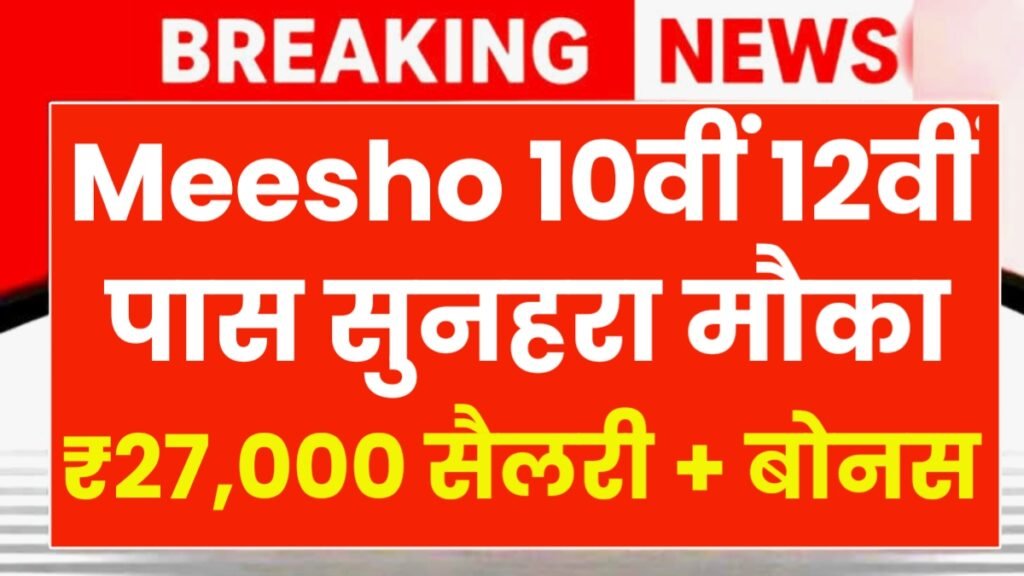 Meesho Work From Home 